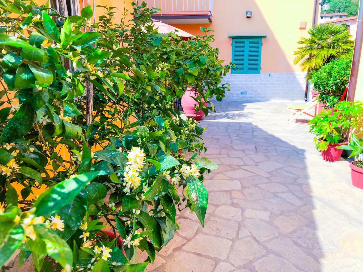 Cuore Di Nozzano Castello